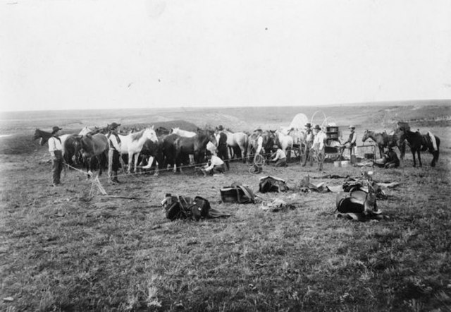 Belle Starr stealing horses