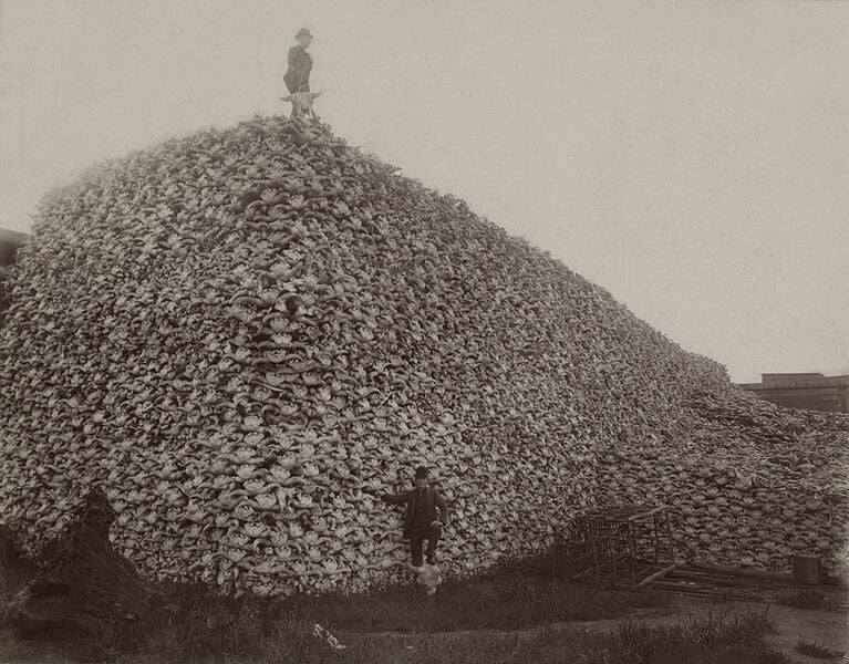 Buffalo Skull Mountain