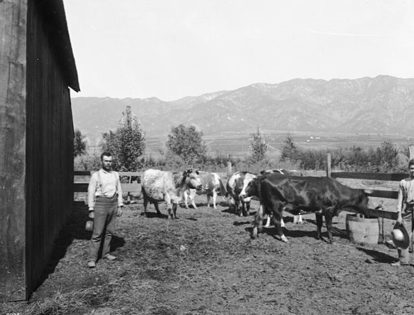 Chisum Ranch