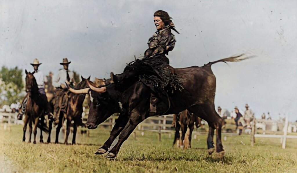 A cowgirl enjoying her ride with an ox