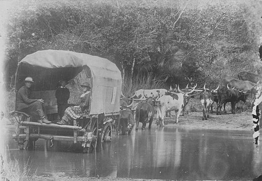 640px Ossenwagen met passagiers doorkruist water in Zuid Afrika Ossenwagen titel op object RP F F01147 18 1 | <strong>Who was Fannie Porter? </strong>