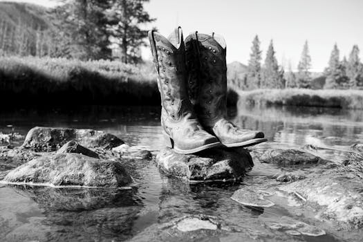 image 1722419228 0 | Black Studded Cowboy Boots