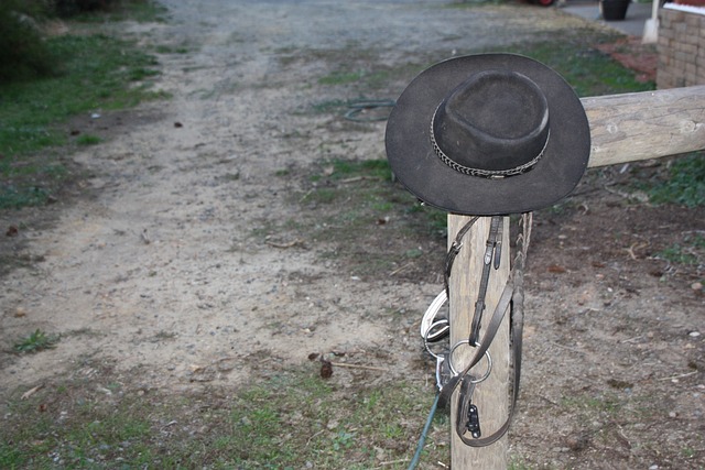 image 1722942767 0 | Gray Cowboy Hat