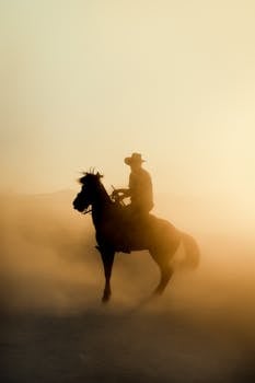 image 1730290415 0 | Orange Western Hat