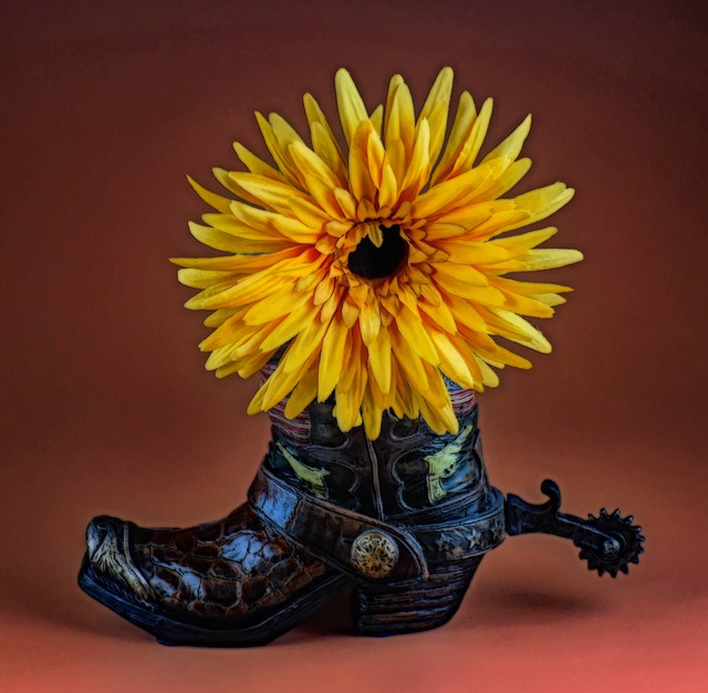 image 1731572242 0 | Flower Western Boots