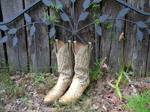 image 1735520876 0 | Cowboy Boots Snake Skin